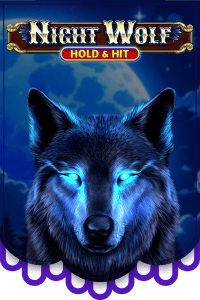 Play Night Wolf - Hold & Hit